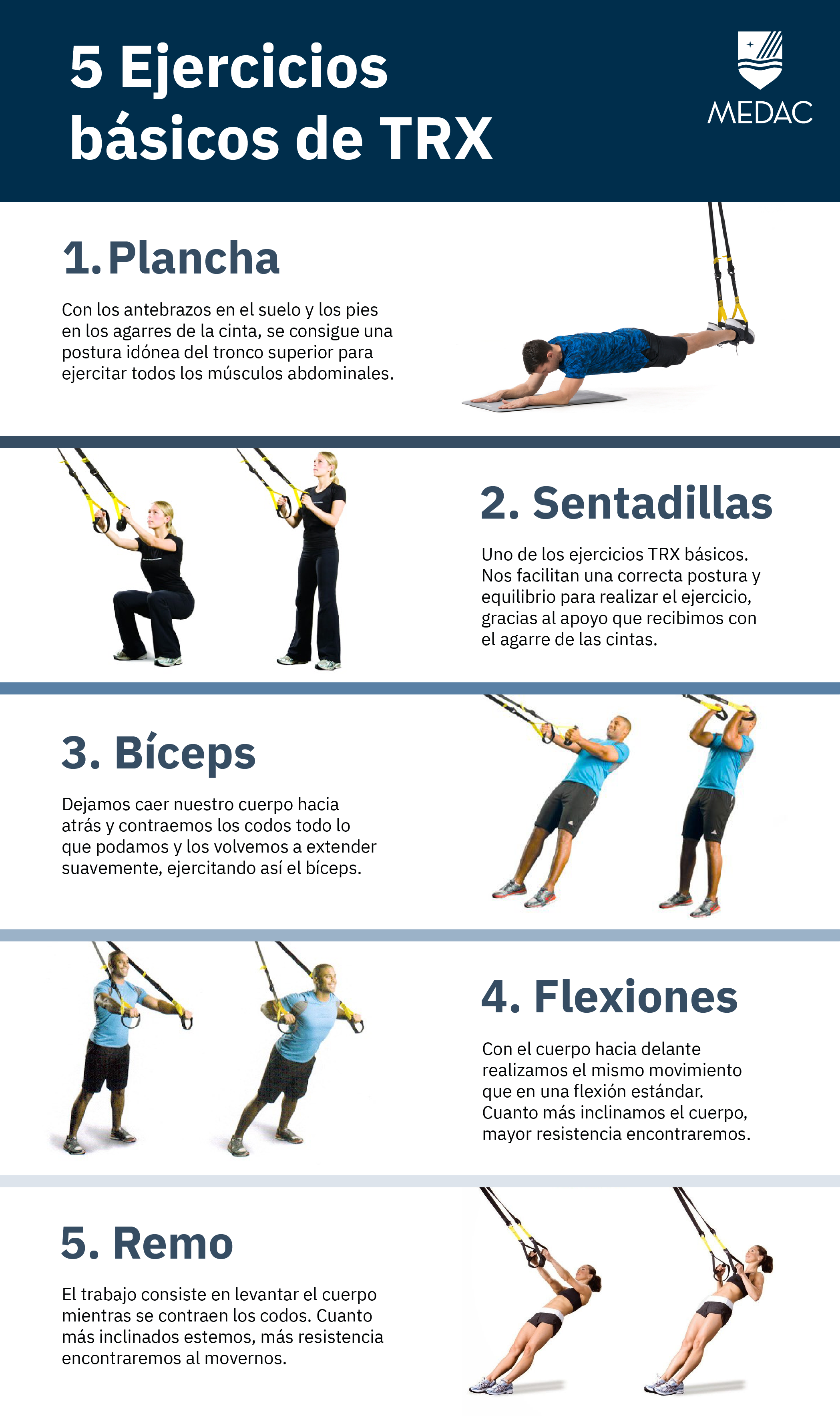 Trx Ejercicios Entrenamientos Rutinas Y Ejercicios My XXX Hot Girl